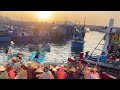 Cảng Cá Tràn Ngập Biển Người - Cảng Cá Nhộn Nhịp Mỗi Sáng