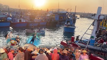 Cảng Cá Tràn Ngập Biển Người - Cảng Cá Nhộn Nhịp Mỗi Sáng
