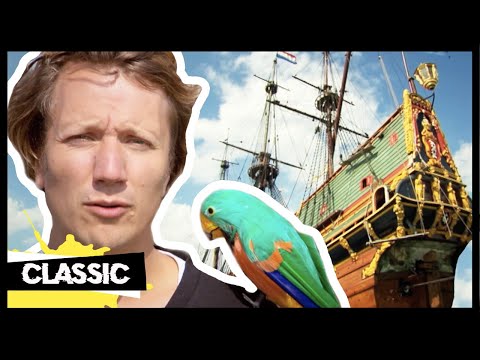 Video: Wie Zijn De Piraten?