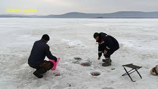 На корюшку с поплавочной удочкой Рыбалка на льду