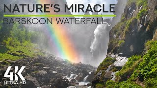 8 HRS White Noise for Sleeping - Birds Songs & Sounds of Barsckoon Waterfall, Tian Shan