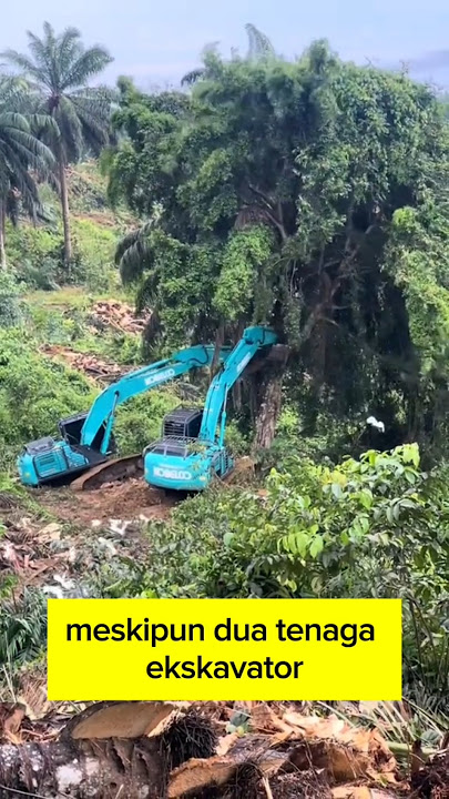 ketika 2 excavator mau merubuhkan pohon beringin angker ‼️ #aneh #seram #angker #diluarnalar