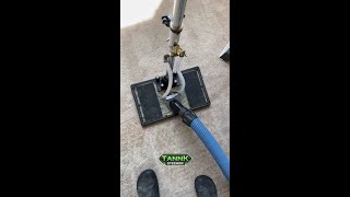Serious Deep Cleaning On Urine Contaminated Carpet+WATER DUMP!