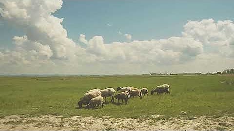 Benji Mach (ft. carmen dovely) - The Unlikely (Official Lyric Video) 