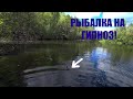 РЫБАЛКА ПО ДЕРЕВЕНСКИ ЛОВЛЯ ЩУКИ НА ГИПНОЗ!