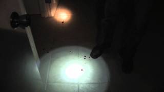PARANORMAL ACTIVITY HOUSE