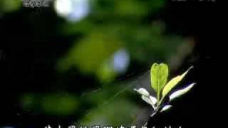 20090529-1《靜思晨語。法譬如水》發露懺悔 功德無量