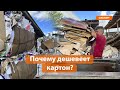 Что происходит с рынком картона в Татарстане? Почему умирает повторный оборот упаковки?