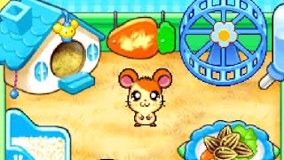 Hi! Hamtaro: Ham-Ham Challenge