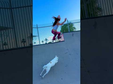 Goodyear Skatepark — Phoenix