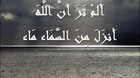 ۞الشحات محمد أنور من سورة فاطر آية 26و27  نهاوند۞