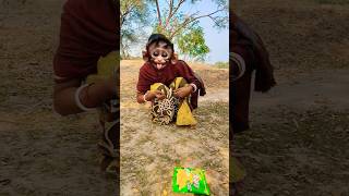 #monkey wow monkey#short