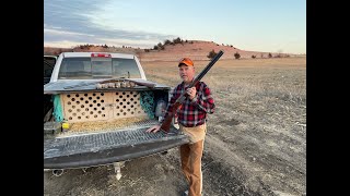 Kansas Late Season Quail