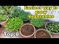 Easiest way to grow top 8 vegetables at homegarden  small space gardening cc