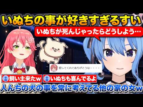 いぬちが好きすぎるすいちゃんと配信に現れる飼い主+事務所設立から半年が経ち大変だった事と良かった事【ホロライブ/星街すいせい/さくらみこ/切り抜き】