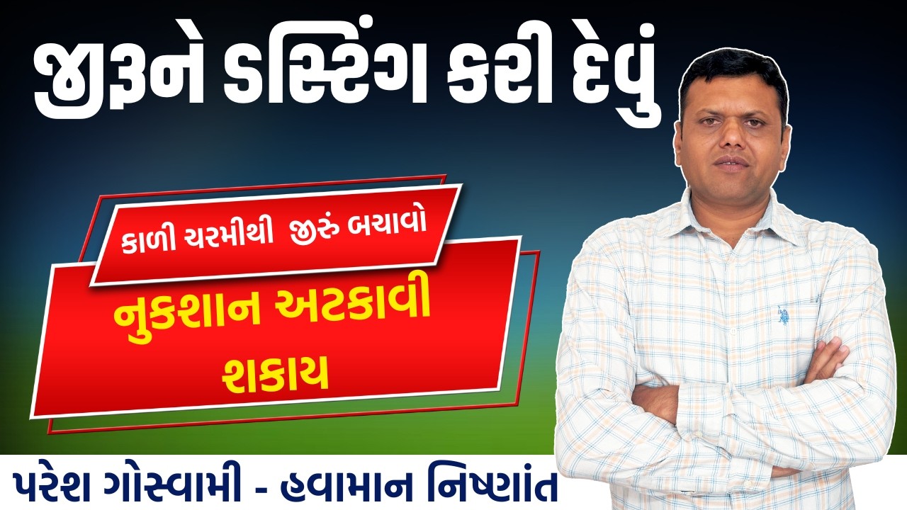 જીરૂના પાકને કાળી ચાર્મીથી બચાવો | Jiru No Pak Bachavo Paresh Goswami