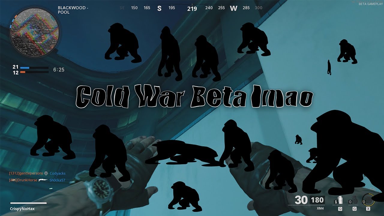 Call of Duty: Black Ops Cold War beta memes (ft. Juice WRLD)