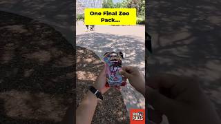 🌵 My FINAL Zoo Pack... Was It Worth It? 👀 🌵 My FINAL Zoo Pack... Was It Worth It? 👀