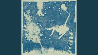 You Never Know - Iron & Wine