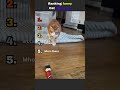 Ranking funny Cats #cats #catshorts #youtubeshorts #funnycats #rankingshorts #funnycats