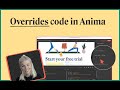 A developers guide to Anima | Advanced series [3/4]