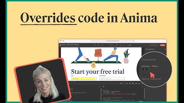 A developers guide to Anima | Advanced series [3/4]