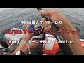 ダイワ　ＴＧベイトにブレードフックはブリ族に最強説