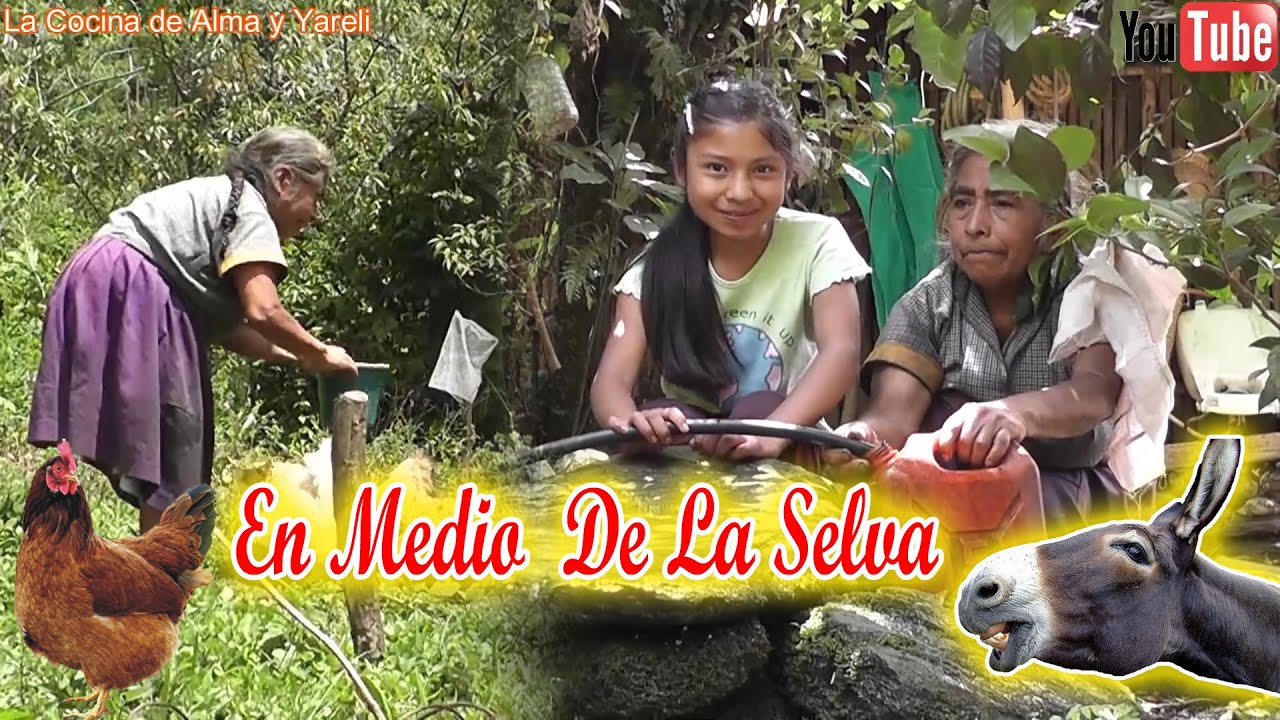 Visito familia unica que vive en medio de la selva, increíble su forma ...