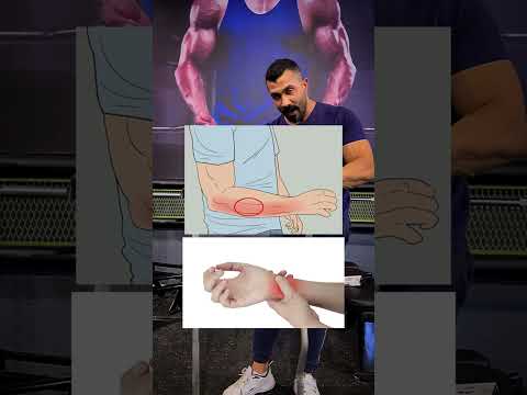 الفرق بين الشفت العادي و الزت 