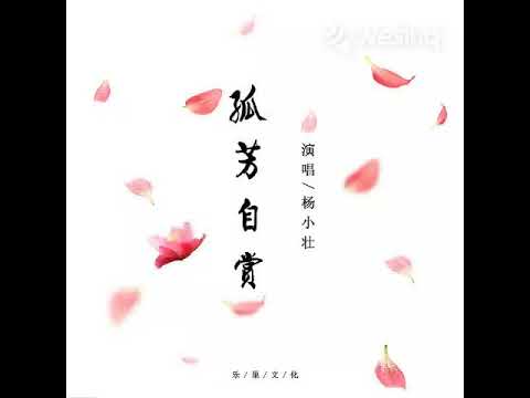 孤芳自赏 alone