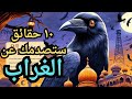 الغراب اذكى مما تتخيل تعرف علي١٠ اسرار عن الغراب
