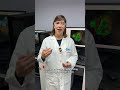 WIML: Using imaging to see how potential drugs function