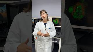 WIML: Using imaging to see how potential drugs function
WIML: Using imaging to see how potential drugs function WIML: Using imaging to see how potential drugs function