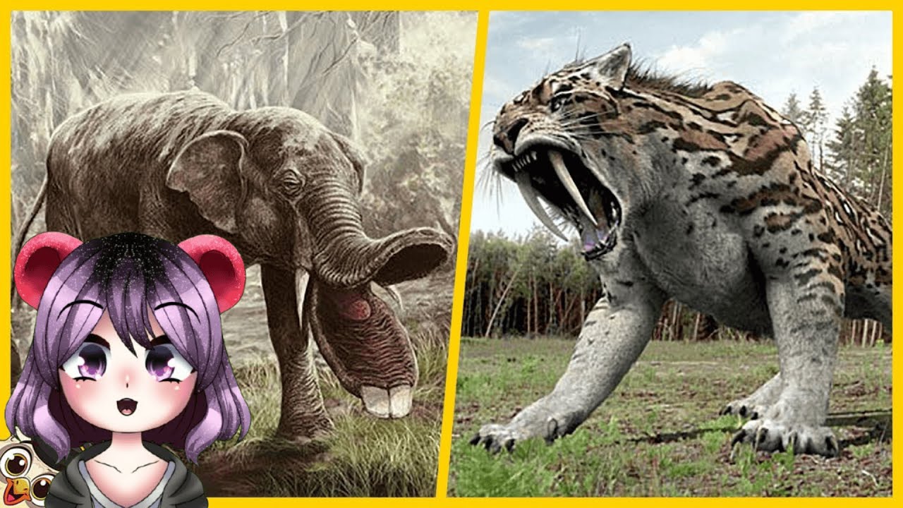 10 Animales Aterradores que se han Extinguido | RomisGomis REACCIONA a BÚHO SABIO