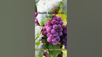 5 health benefits of eating grape fruit