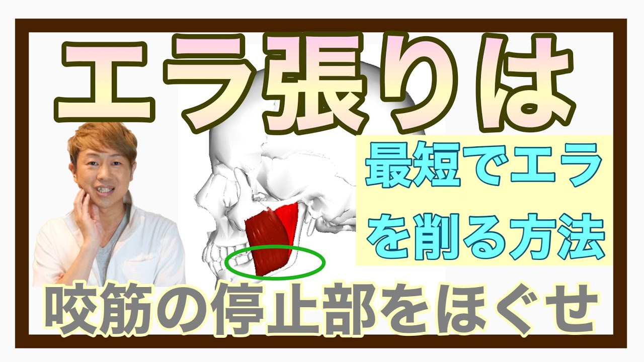 超最速でエラを削る方法 筋肉の仕組みが分かれば超絶簡単にエラを削れます Youtube 超最速でエラを削る方法 筋肉の仕組みが分かれば超絶簡単にエラを削れます Youtube
