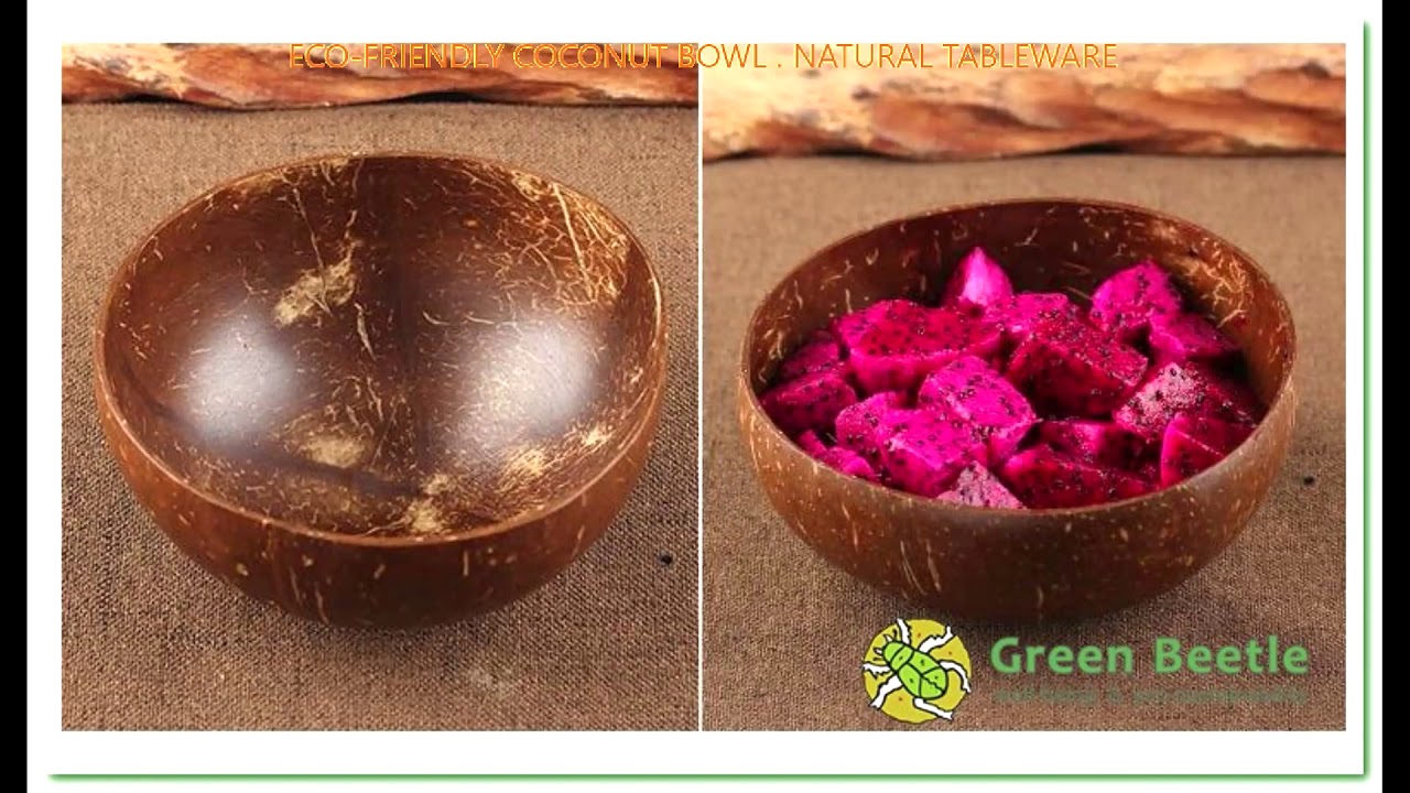 GreenBeetleStore Natural Tableware Wooden Coconut Shell Bowl , Spoon and Brush