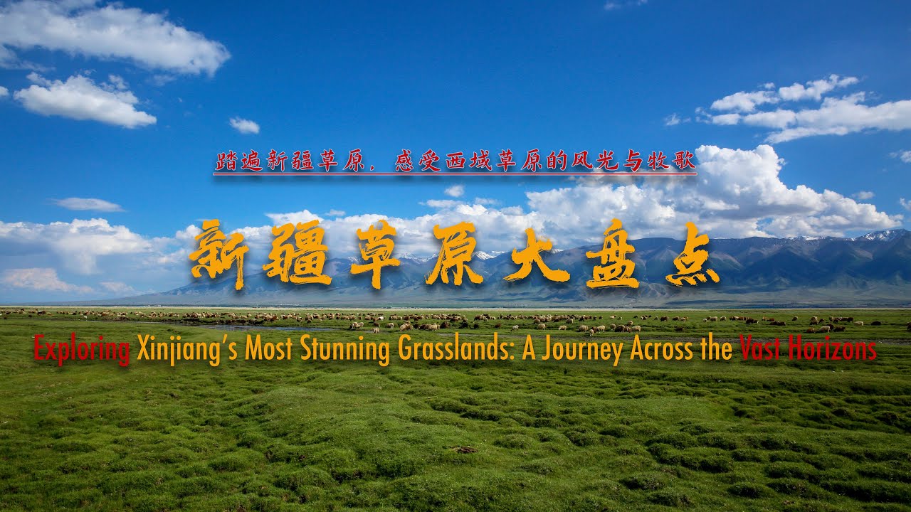 大美新疆 ｜ 新疆最美的五大草原，你都去过吗？（The 5 Most Stunning Grasslands in Xinjiang – Which One Would You Visit?）
