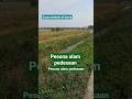 suara terbaik di dunia#adzanmerdu #adzanfavorit #adzanviral
