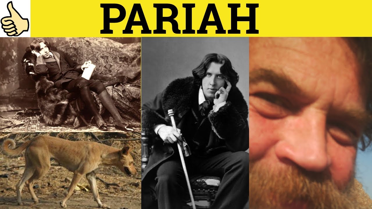 🔵 Pariah Meaning - Pariah Examples - Pariah Definition -  Pariah - Tamil In English