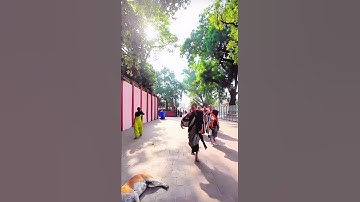 Sau khi được đi khất thực Thầy vào Bồ Đề Đạo Tràn sáng 20/5 #thayminhtuemoinhat