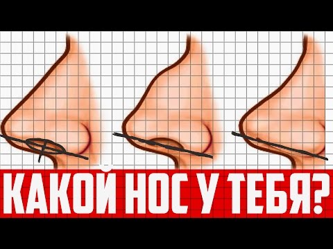 ФОРМА НОСА РАССКАЖЕТ