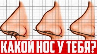 Видео ФОРМА НОСА РАССКАЖЕТ О ТЕБЕ МНОГОЕ (автор: SiselPRO)