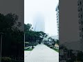 Mañana con neblina 🌫️😳