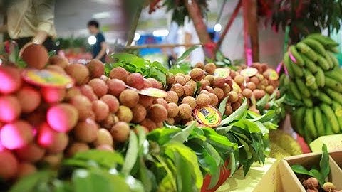 Xây dựng mối liên kết chặt chẽ nhằm phát triển chuỗi giá trị nông sản hiệu quả