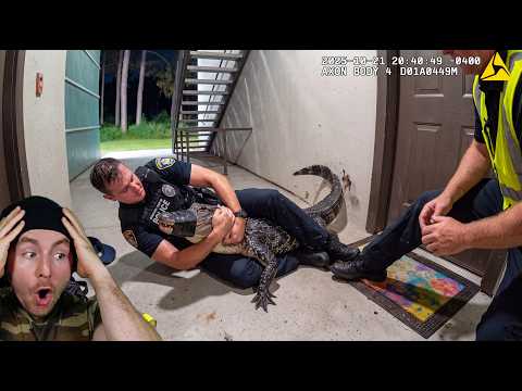 Florida Cops Were NOT Ready For This Angry Gator...