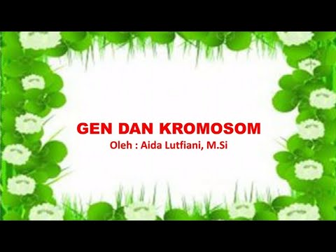 Video: Apakah kromosom homolog memiliki gen yang sama?