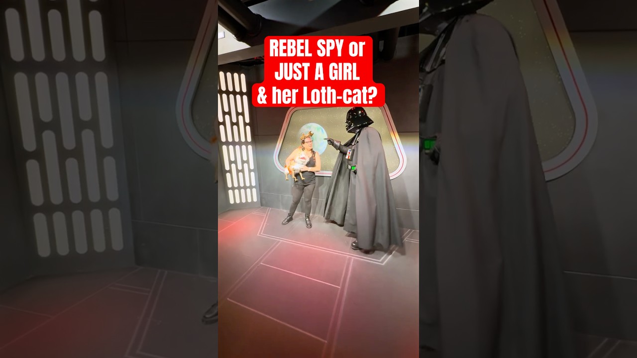 ШПИОН-ПОВСТАНЕЦ или ПРОСТО ДЕВУШКА и ее Лот-кот?