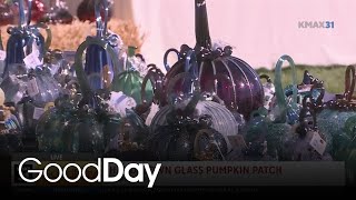 Handblown Glass Pumpkin Patch!