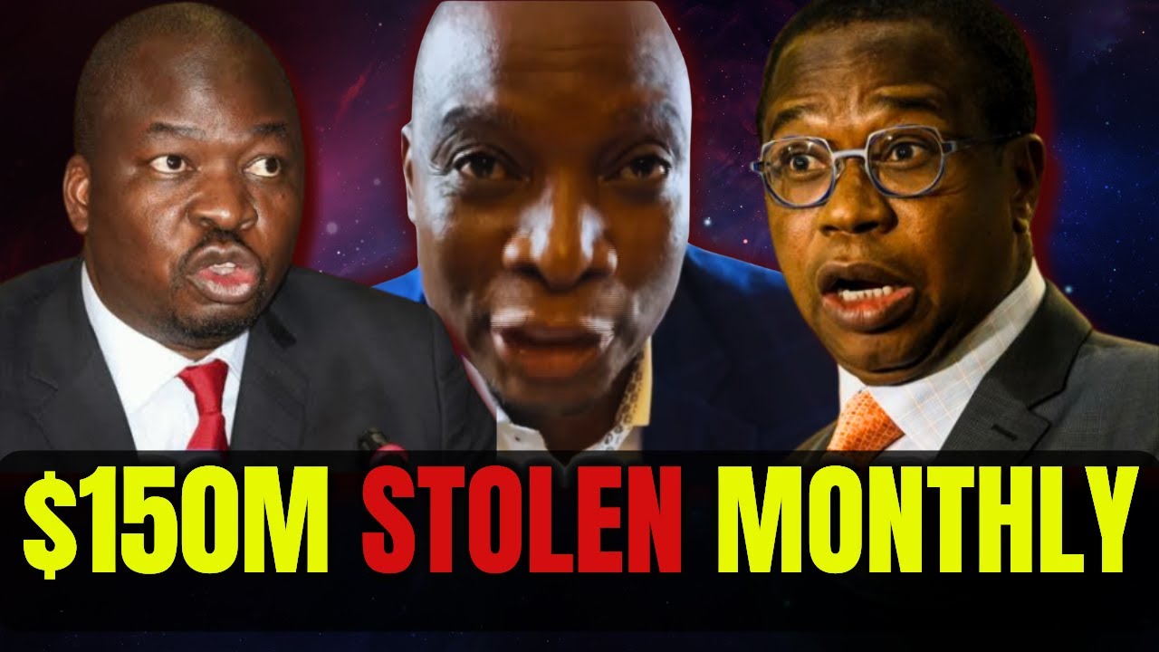 Jealousy Mawarire BLASTS Mthuli Ncube & Guvamatanga for STEALING $150 Million Monthly from Taxpayers